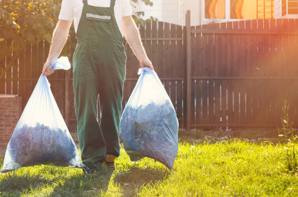 Best Same-Day Junk Removal  in Somerset, KY